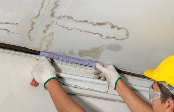 Reliable Flood Cleanup contractor in Round Rock, TX by Water Damage Irwin